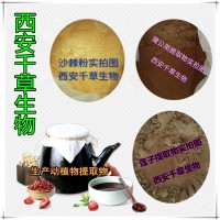西芹提取物西芹浓缩粉供应植物提取物 定制浓缩浸膏干膏颗粒