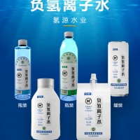 负氢离子水招商