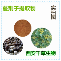 蔓荆子提取物蔓荆子浓缩粉蔓荆子浸膏粉 供应熟化粉浓缩干膏