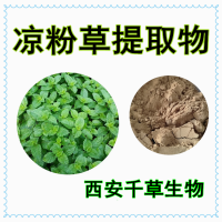 仙人冻提取物 定制植物提取物仙人冻粉 定做各类流浸膏