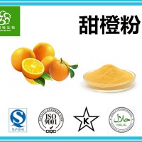 橙子粉 甜橙粉 橙汁粉 全水溶 饮料原料粉 奶茶粉