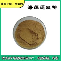 海藻提取物  主要成分 海藻多糖