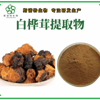 白桦茸提取物 白桦茸粉 浓缩速溶 资质齐全 斯诺特