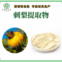 刺梨提取物 刺梨粉 浓缩速溶粉 喷雾干燥 斯诺特生物