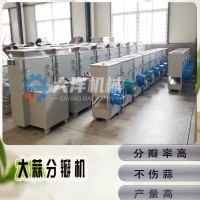 大蒜分瓣机 全自动大蒜破瓣机 专业蒜头剥瓣设备