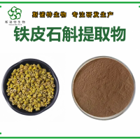 铁皮石斛提取物 铁皮石斛粉 浓缩速溶 源头工厂斯诺特
