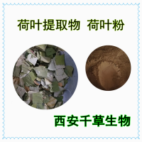 植物提取物荷叶提取物荷叶水溶粉