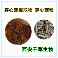 穿心莲烘焙干燥粉西安千草生物供应各类植物提取物