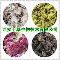 蝉蜕提取物水溶粉 供应各类水溶性熟化粉浓缩干膏