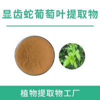 显齿蛇葡萄叶粉 显齿蛇葡萄叶提取物 水溶性粉末