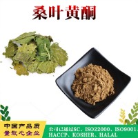 桑叶黄酮  桑叶提取物