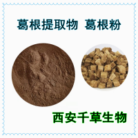 葛根提取物 供应各类水溶性植物萃取粉植物浓缩干膏