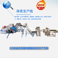 连续式净菜加工设备 蔬菜精加工机器 蔬菜加工流水线