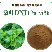 桑叶提取物 桑叶粉 DNJ1%-5% 桑叶黄酮