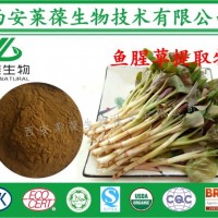 鱼腥草提取物,鱼腥草粉,鱼腥草生粉,折耳根粉,鱼腥草浓缩粉