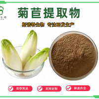 菊粉 菊苣粉 浓缩粉 速溶水溶 源头工厂斯诺特
