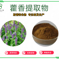 藿香提取物 藿香粉 浓缩萃取 喷雾干燥 源头工厂斯诺特
