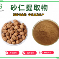 砂仁提取物 砂仁粉 浓缩萃取 喷雾干燥 源头工厂斯诺特
