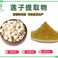 莲子提取物 莲子粉 浓缩萃取 喷雾干燥 斯诺特