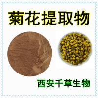 菊花浸膏粉水溶性植物提取物 定做植物浸膏