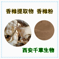 香橼水溶粉 专业定制香橼浓缩浸膏易溶颗粒