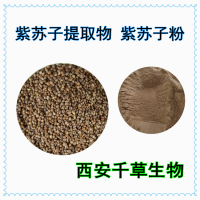 紫苏籽提取物紫苏籽粉 供应植物提取物紫苏籽流浸膏颗粒