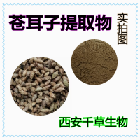苍耳子浓缩粉 西安千草生物供应植物提取物