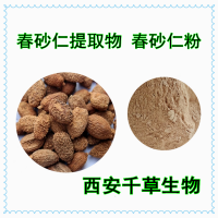 春砂仁提取物春砂仁浓缩粉供应植物提取物定做熟化粉干膏