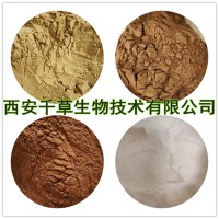枣树皮提取物枣树皮浸膏 供应多规格枣树皮浓缩水溶粉