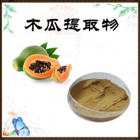 木瓜提取物  木瓜浸膏