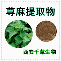 荨麻提取物植物提取物荨麻浓缩浸膏荨麻粉