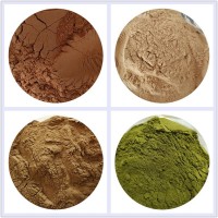 小米草提取物小米草浓缩粉小米草浸膏粉 供应植物提取物小米草粉