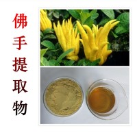 佛手提取物  佛手浸膏