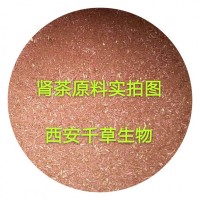 肾茶提取物 西安千草供应植物提取物定做浓缩浸膏