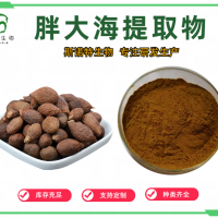 胖大海提取物 胖大海速溶粉 喷雾干燥 浓缩萃取 SC工厂