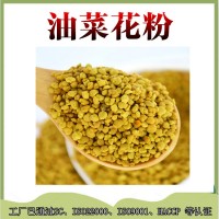 油菜花提取物  油菜花粉