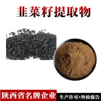 韭菜籽提取物
