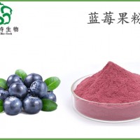 蓝莓果粉 全水溶蓝莓粉