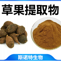 草果提取物 水溶性草果浓缩速溶粉 植提厂家供应