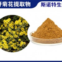 野菊花提取物 SC厂家生产野菊花粉