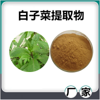 白子菜提取物 水溶性白子菜速溶粉 斯诺特生物