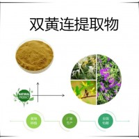 双黄连提取物天瑞源头厂家饲料添加双黄连粉