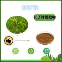 柿子叶提取物天瑞包邮柿子叶黄酮柿子叶粉