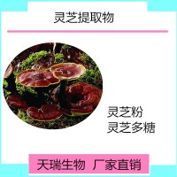 灵芝孢子粉天瑞生物 一公斤起订