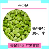蚕豆提取物 蚕豆喷雾干燥粉天瑞生物蔬菜粉