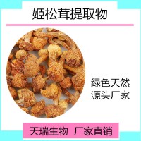 姬松茸提取物10:1天瑞生物 一公斤起订