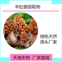 羊肚菌提取物10:1天瑞生物 一公斤起订