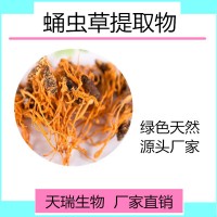 虫草提取物10:1天瑞生物 一公斤起订