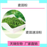 大麦苗粉  青稞粉天瑞生物厂家