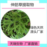 伸筋草提取物10:1石松粉 石松孢子粉天瑞植提厂家规格可定制